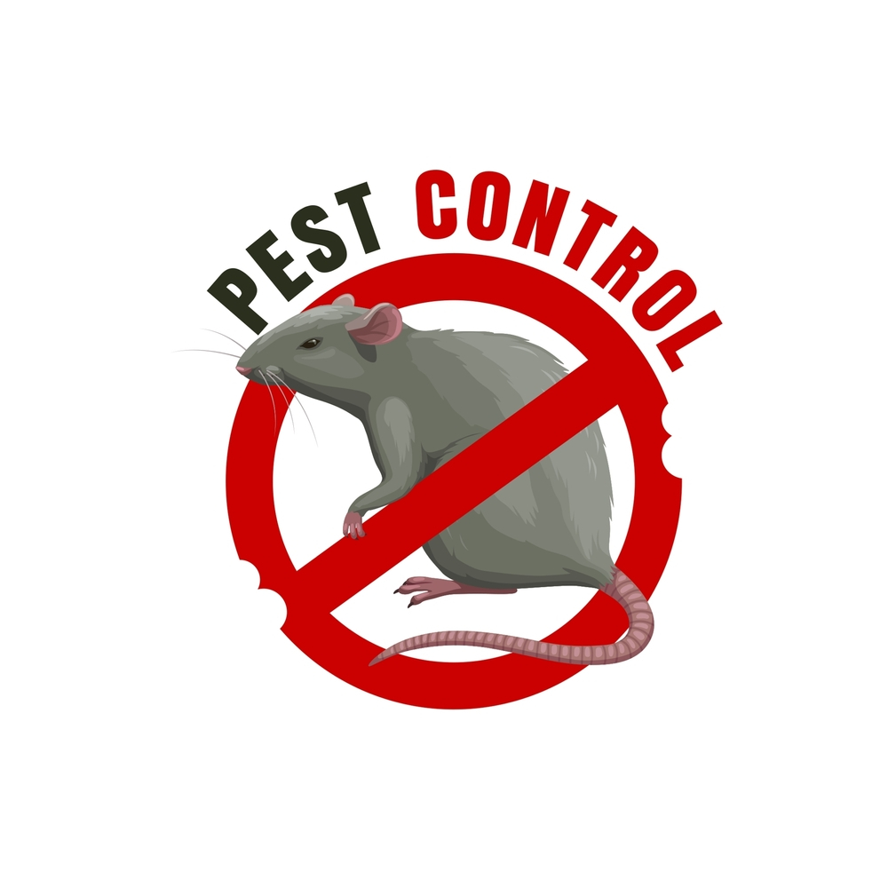 5 Reasons Why You Should Consider Hiring a Pest Control Company