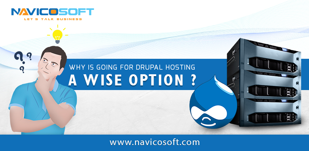 Why is going for Drupal hosting a wise option?
