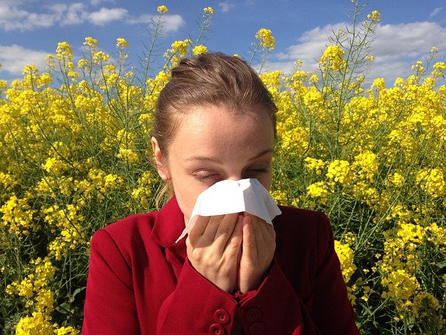 How Your HVAC System Can Minimize Spring Allergies