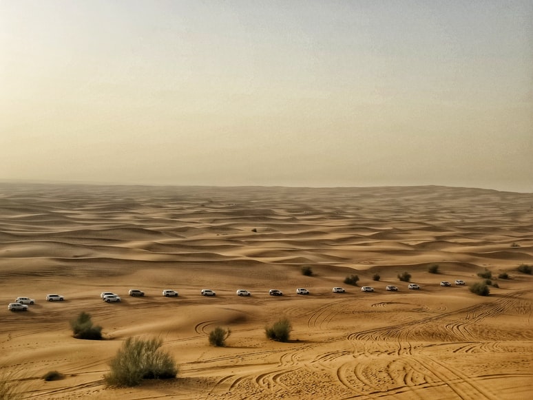 A Fun-Filled Dubai Desert Safari: What to Expect
