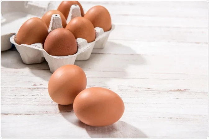 Eggs can assist with Hormonal Steadiness levels in health.