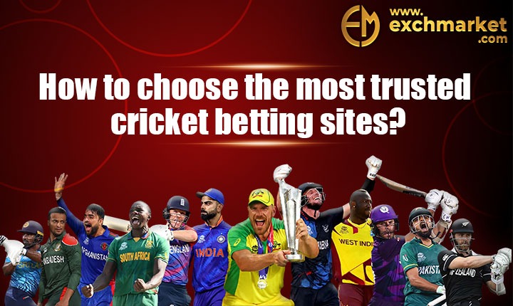 How to choose the most trusted cricket betting sites?