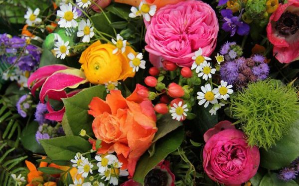 Top 12 Flowers That You Can Gift To Your Mother