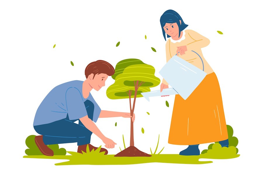 4 Easy Steps To Donating A Tree In Memory Of A Loved One