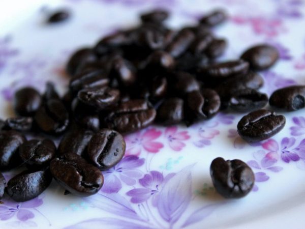 Here’s Why Whole Bean Coffee Is Better Than Ground