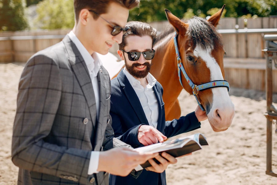 How a Trusted Bookie Can Empower Horse Bettors in Online Wagering